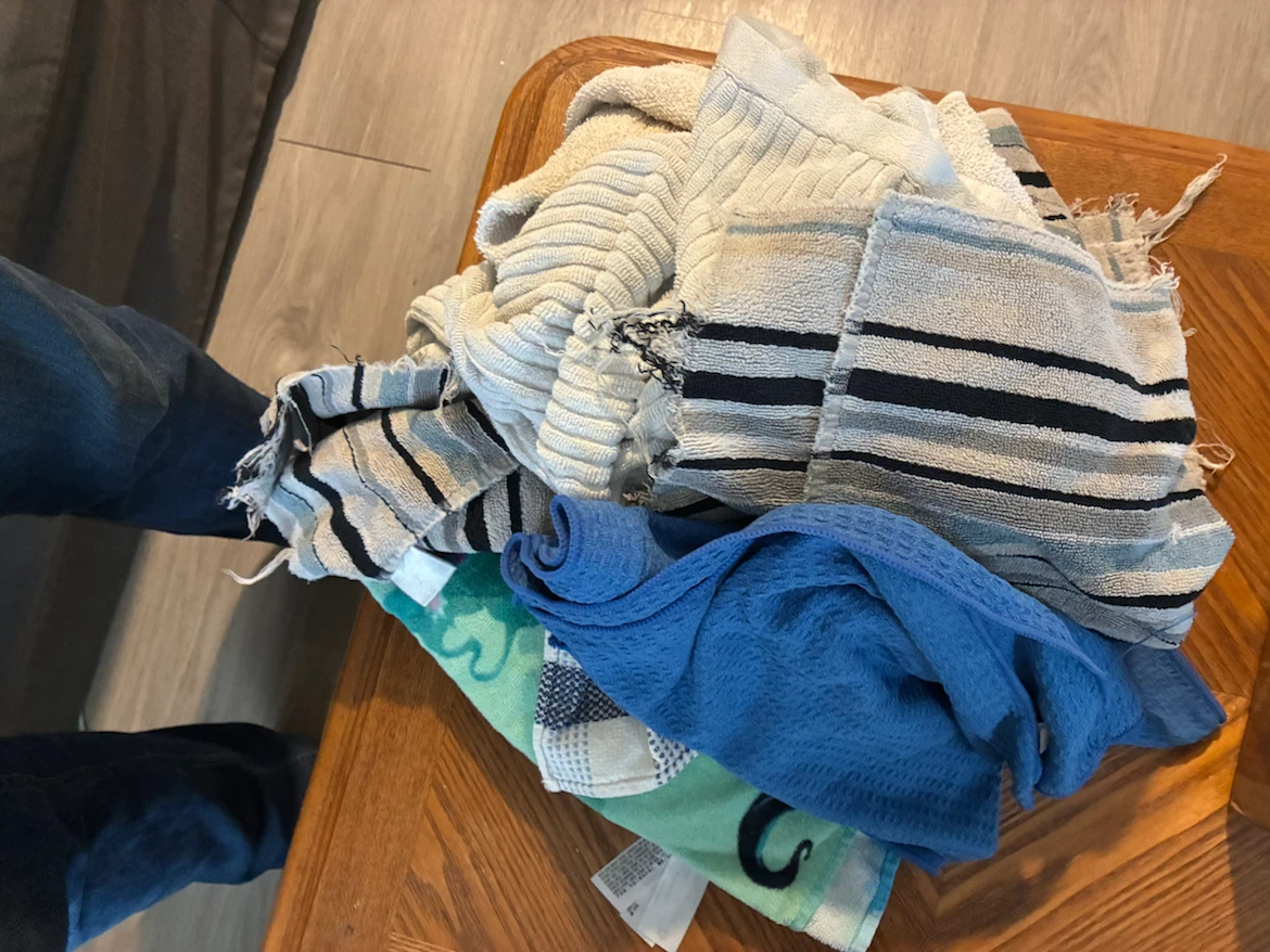 House purge - photo 2