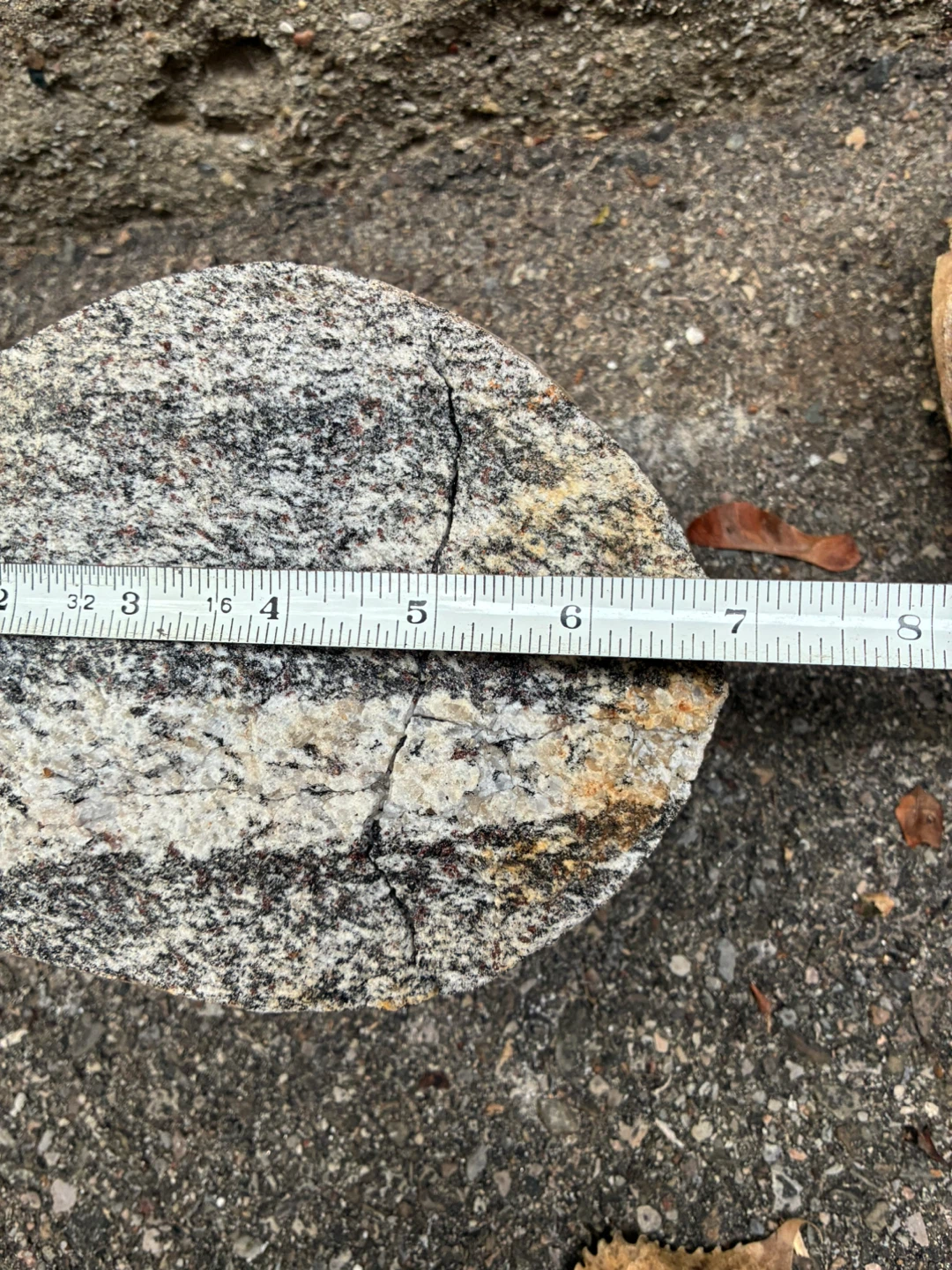 Ontario Rock Specimen Black White Banded Gneiss Stone Glacial - photo 4