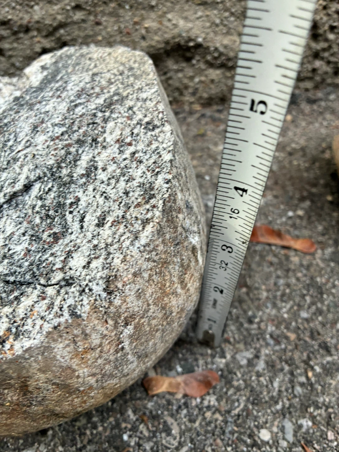 Ontario Rock Specimen Black White Banded Gneiss Stone Glacial - photo 5