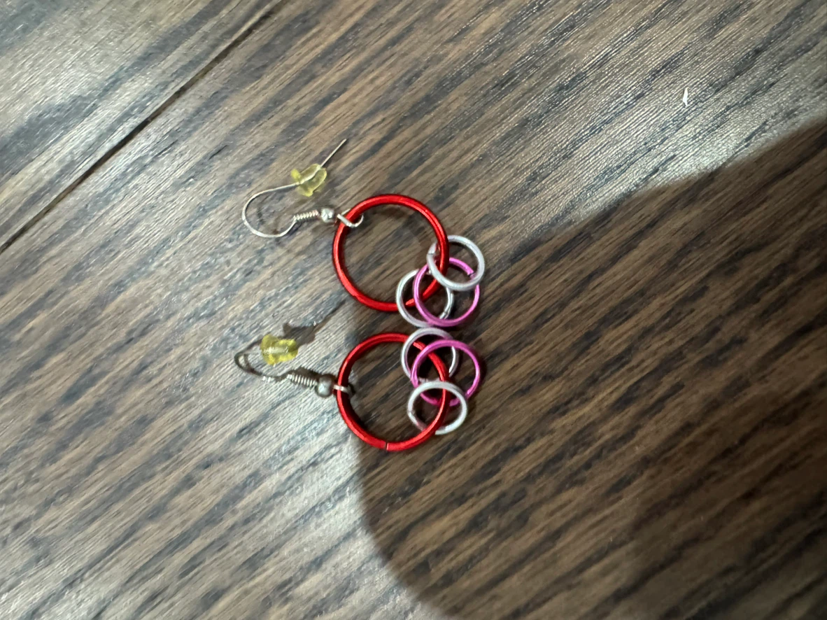 Red and Pink Hoop Earrings