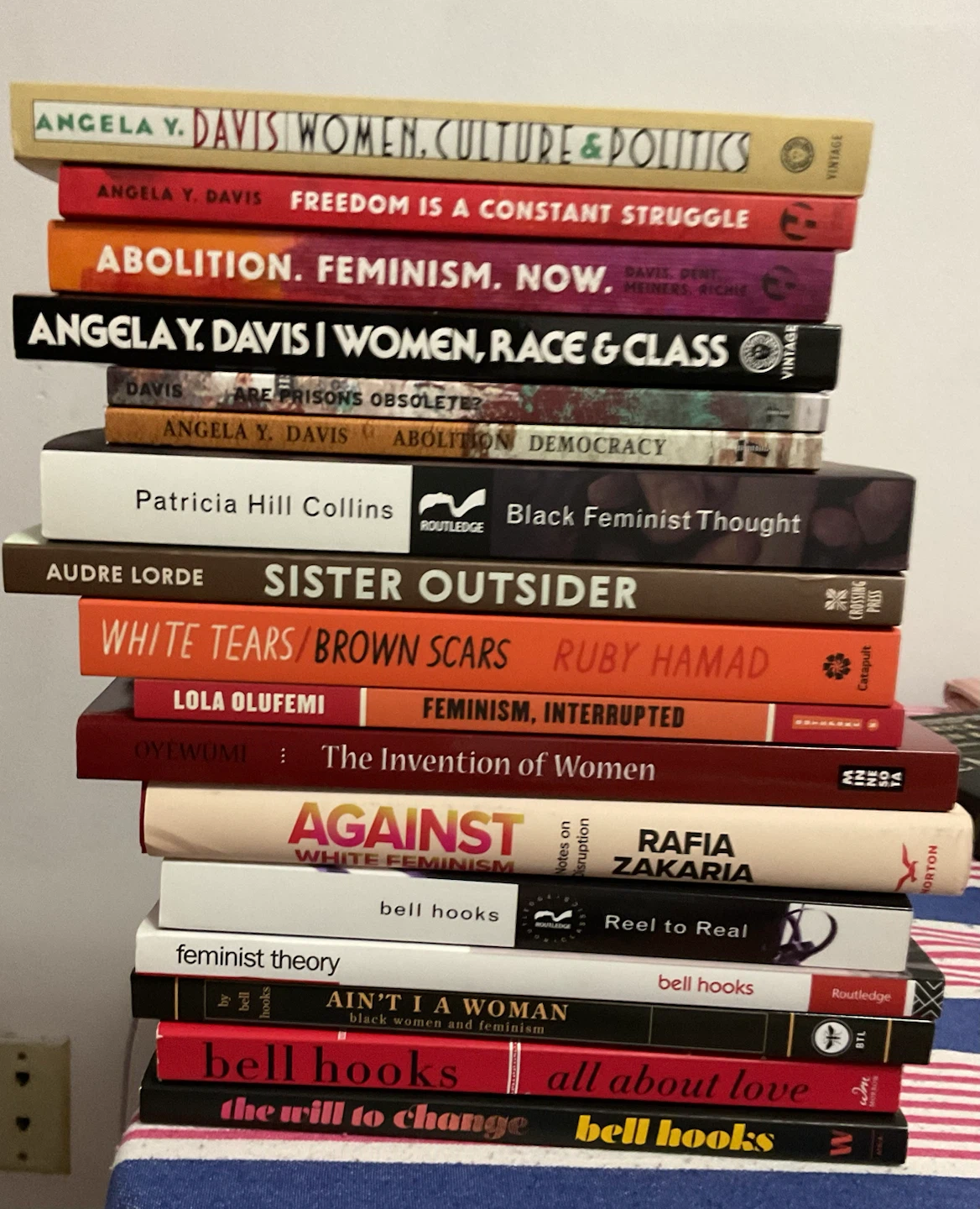 Black feminist and Political book bundle (17 books for $80