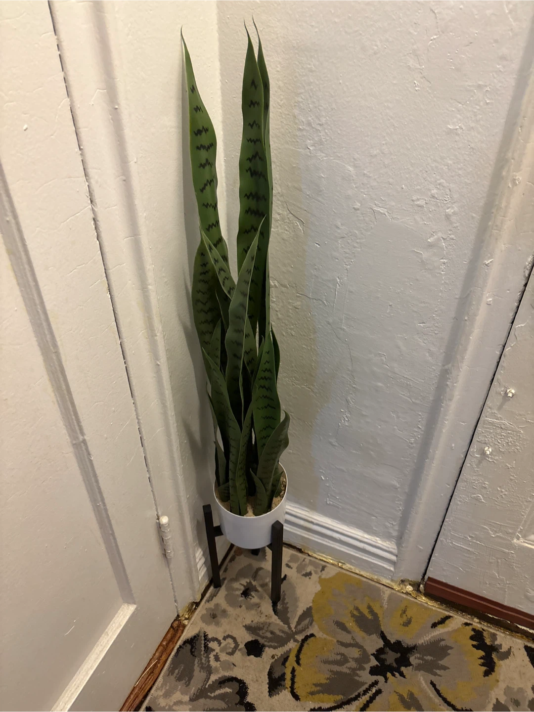 Artificial Snake Plant with Stand