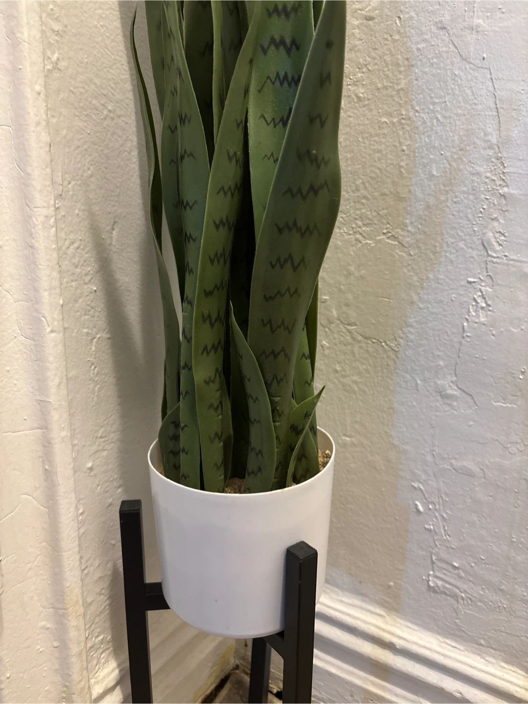 Artificial Snake Plant with Stand - photo 2