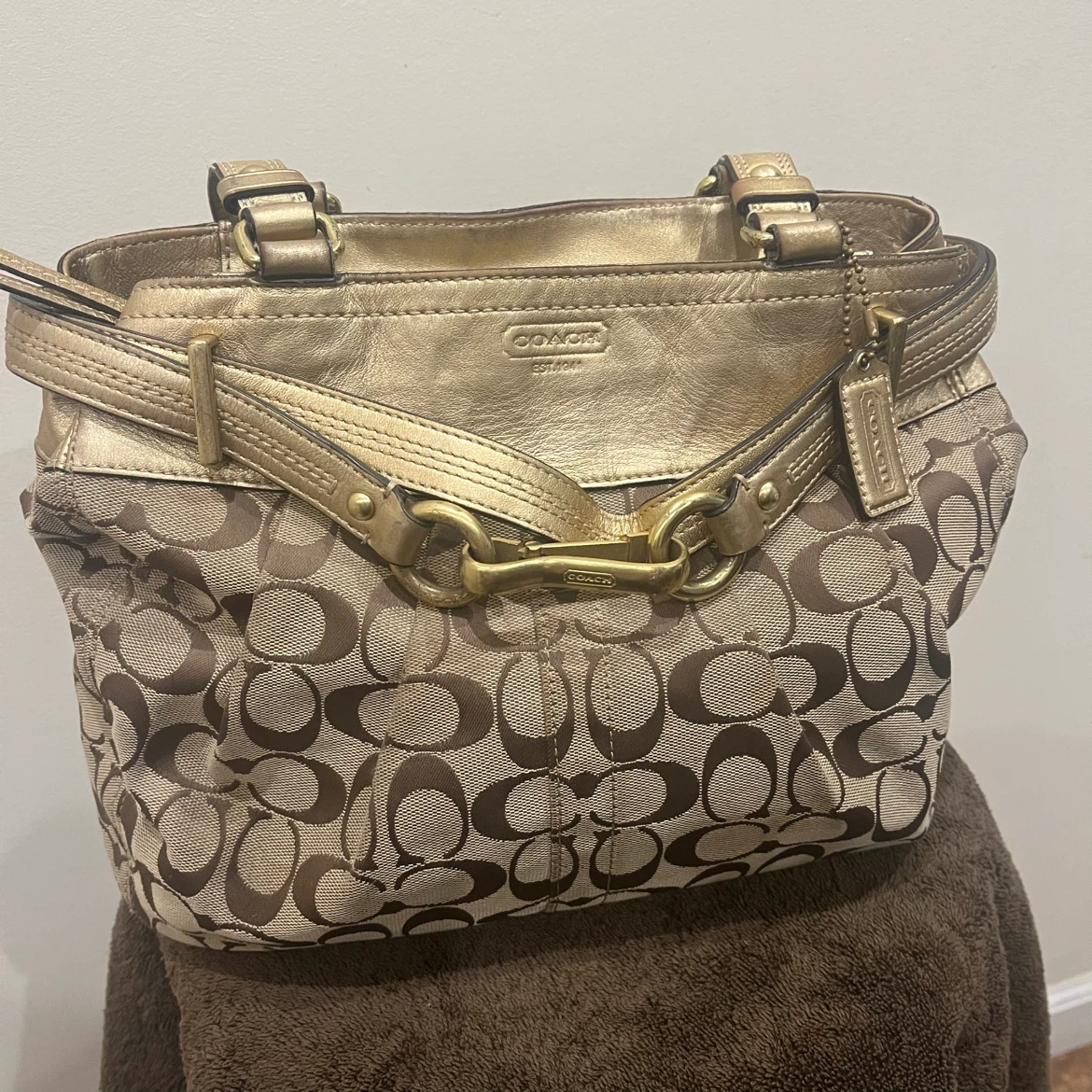 Coach Signature Canvas and Metallic Leather Tote Bag