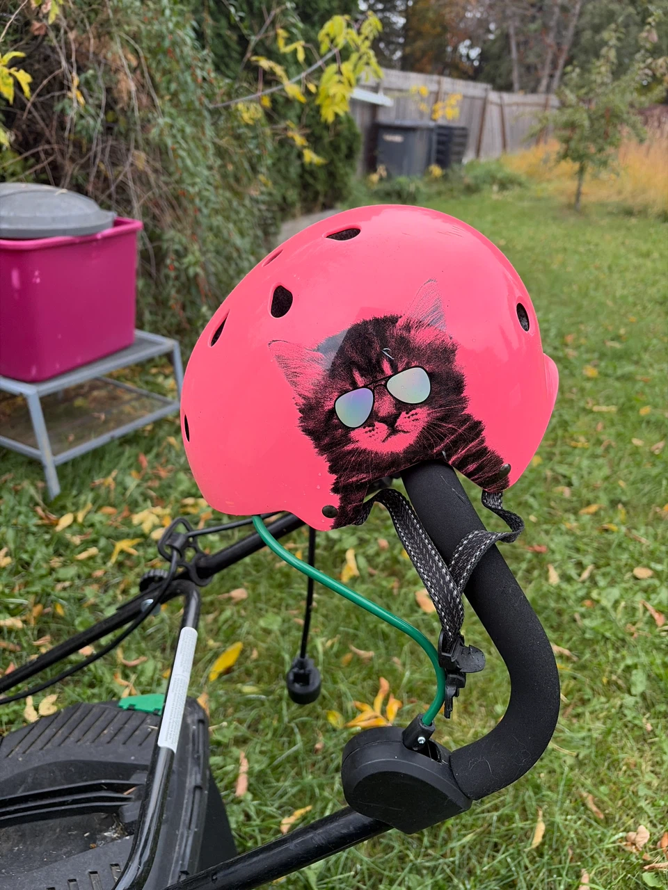 Dusters Longboard with Pink Helmet - photo 3