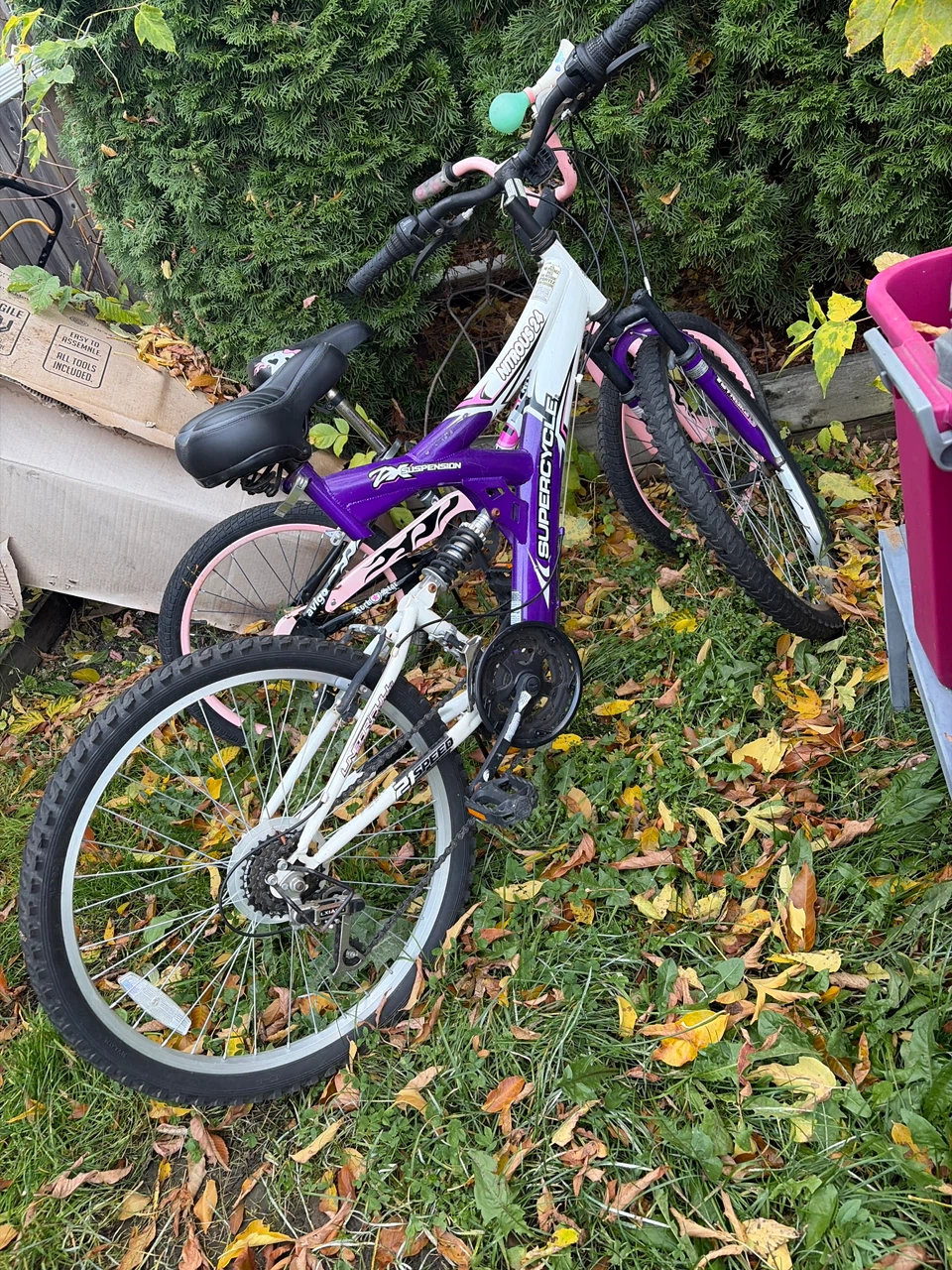 Supercycle Nitrous 24 and Avigo Rock N Roll Bikes