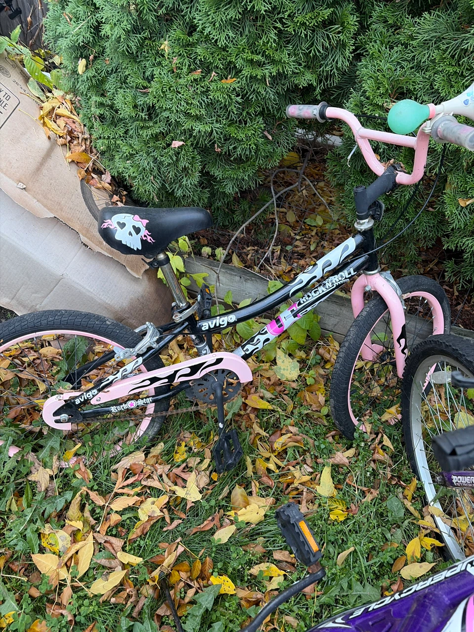 Supercycle Nitrous 24 and Avigo Rock N Roll Bikes - photo 2
