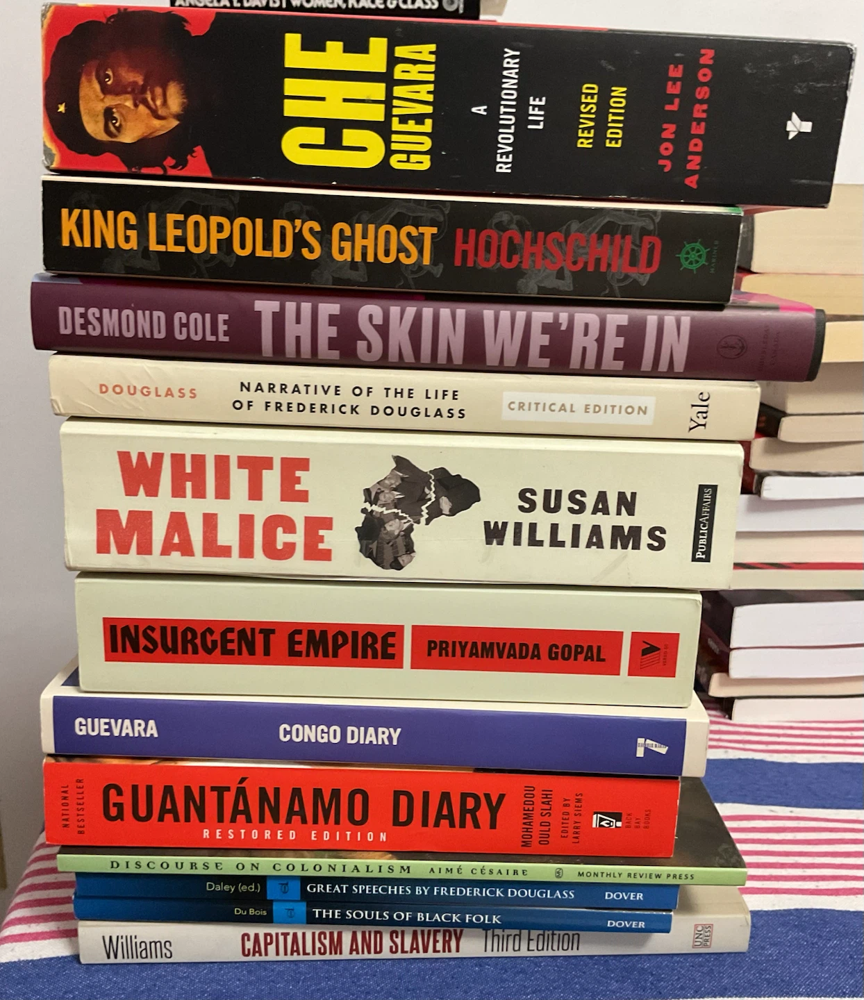book bundle!! Political,  Black history and more