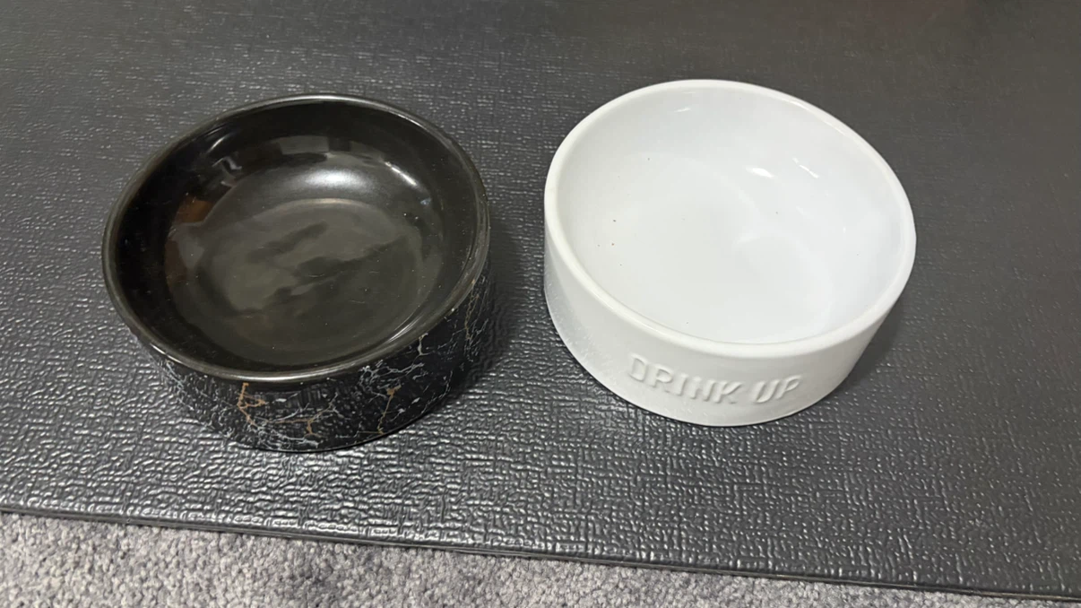Set of Two Ceramic Pet Bowls