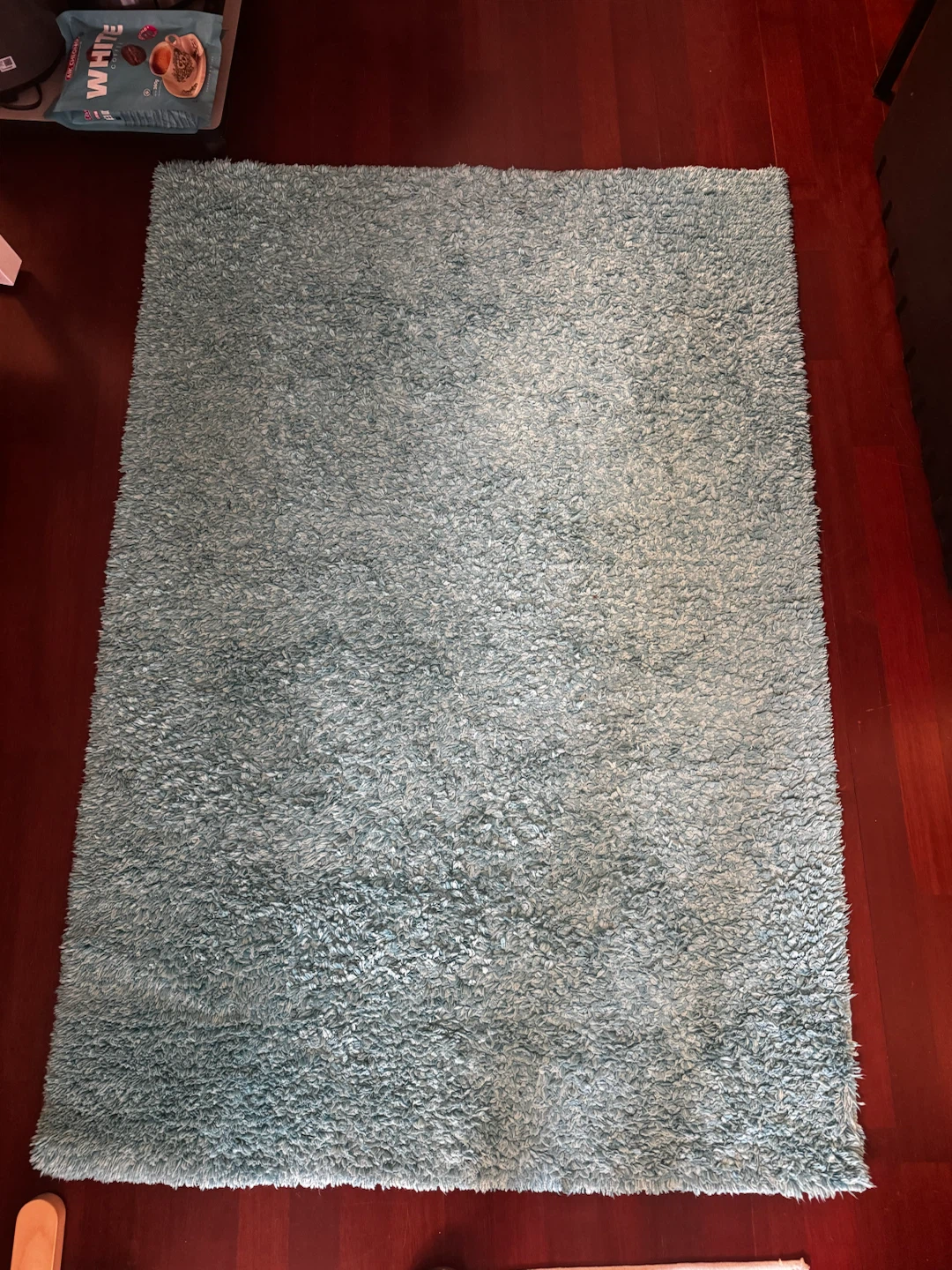 Light blue shaggy area rug