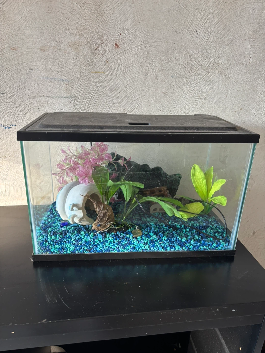 Fish tank