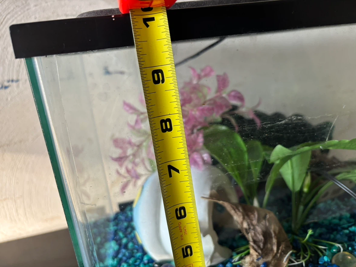 Fish tank - photo 2