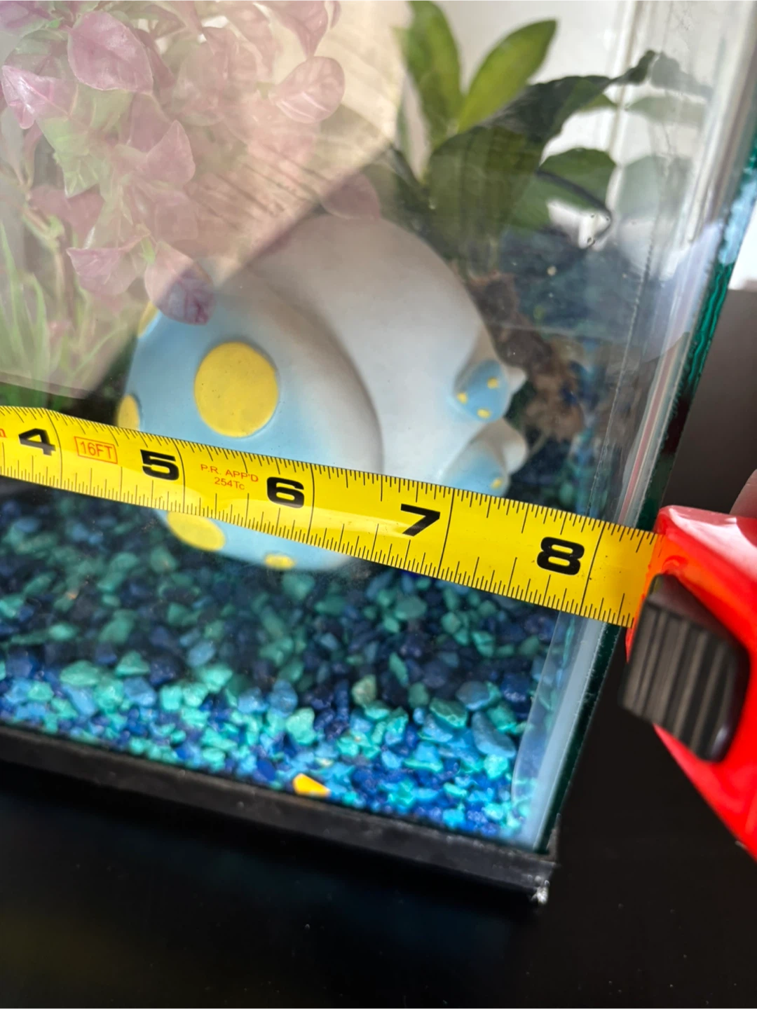 Fish tank - photo 3
