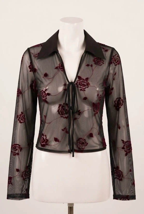 Vintage Whimsygoth Sheer Tie Cardigan Top Velvet Floral Details