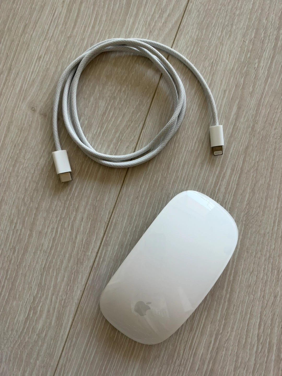 Apple Magic Mouse (with Cable)