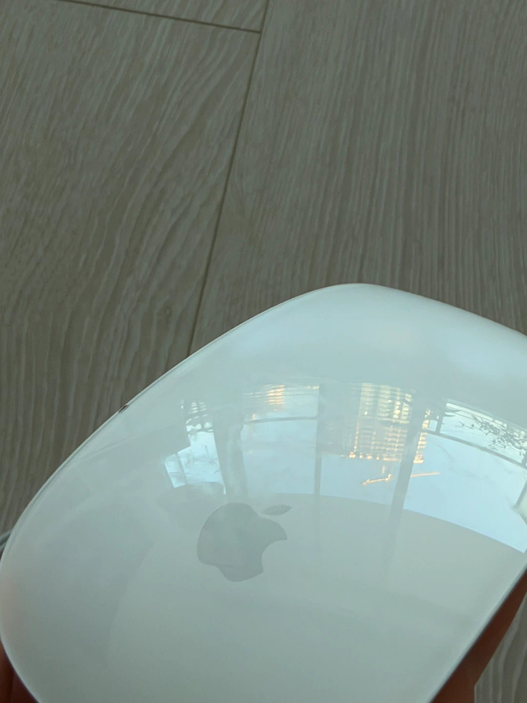 Apple Magic Mouse (with Cable) - photo 2