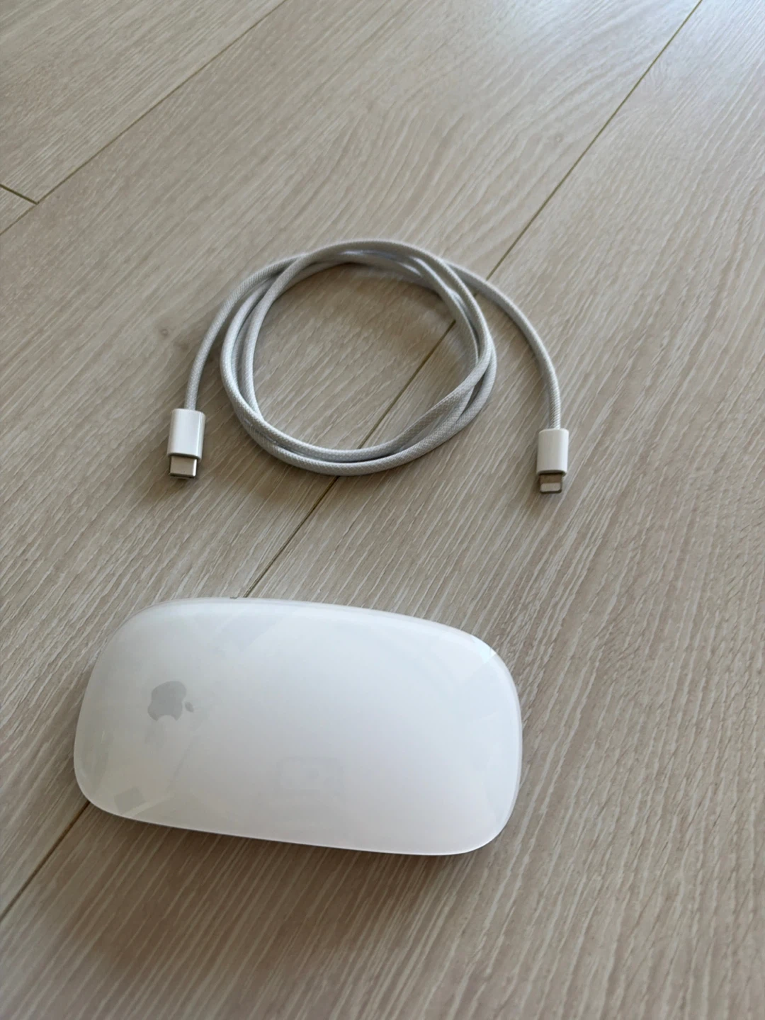 Apple Magic Mouse (with Cable)