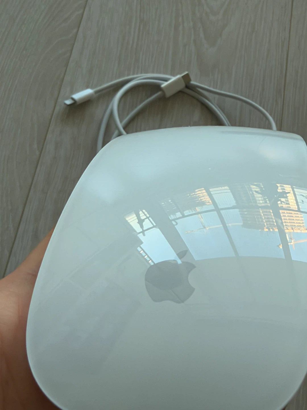Apple Magic Mouse (with Cable) - photo 2