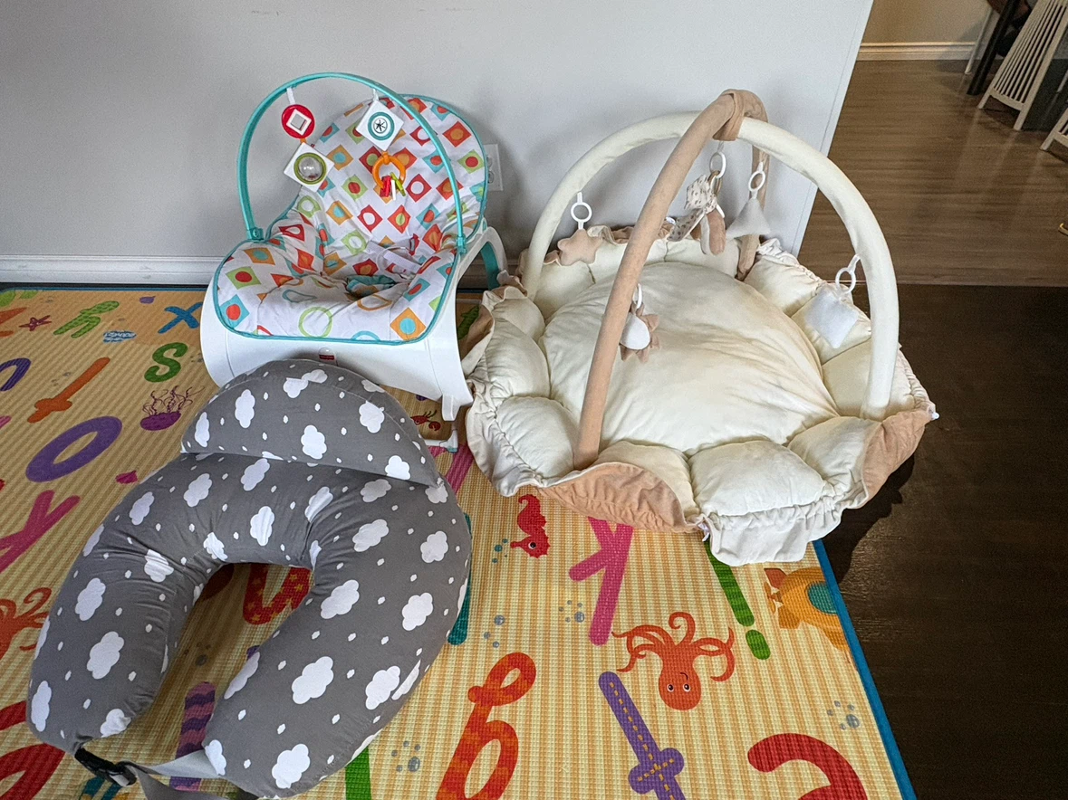 Fisher-Price Infant Bouncer