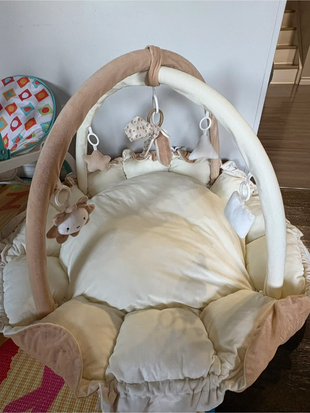 Fisher-Price Infant Bouncer - photo 2