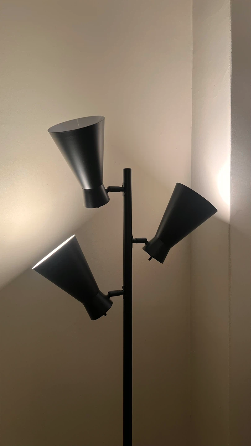 Black 3-Light Floor Lamp