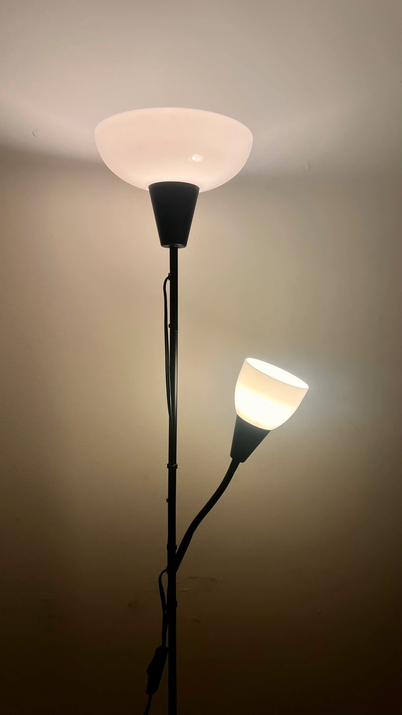 Black Floor Lamp with Adjustable Reading Light