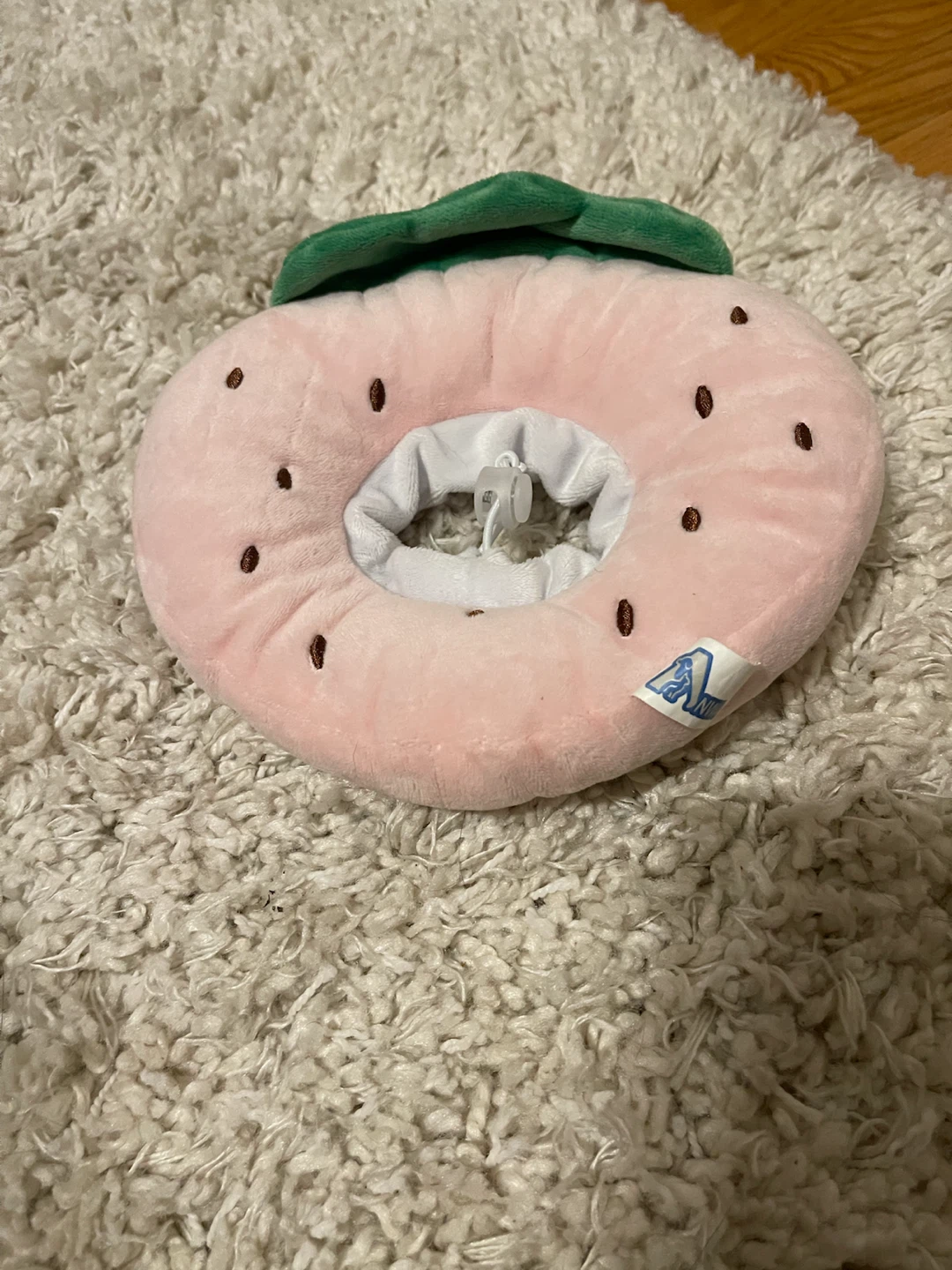 XS Strawberry Pet Recovery Collar
