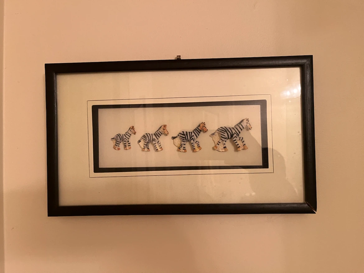Framed Zebra Art