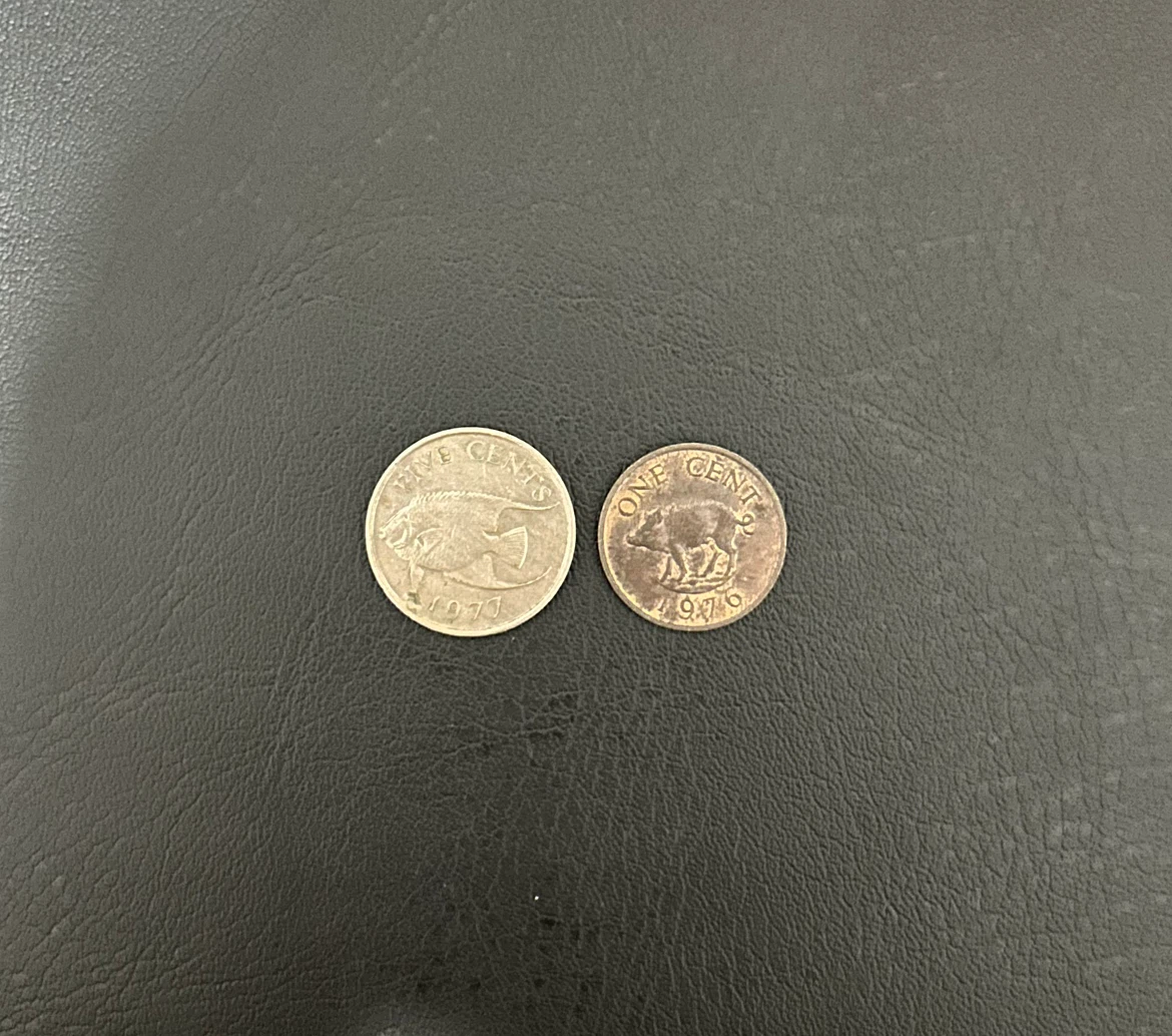 Bermuda Coin Set