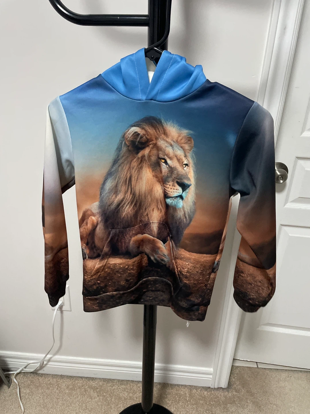 Lion boys Graphic Hoodie
