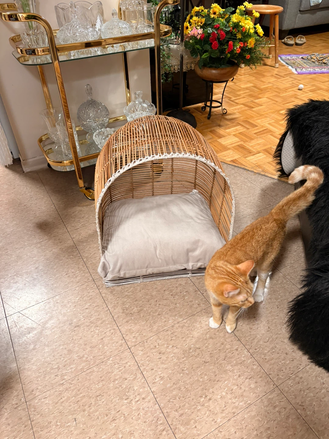Wicker Pet Bed - photo 5