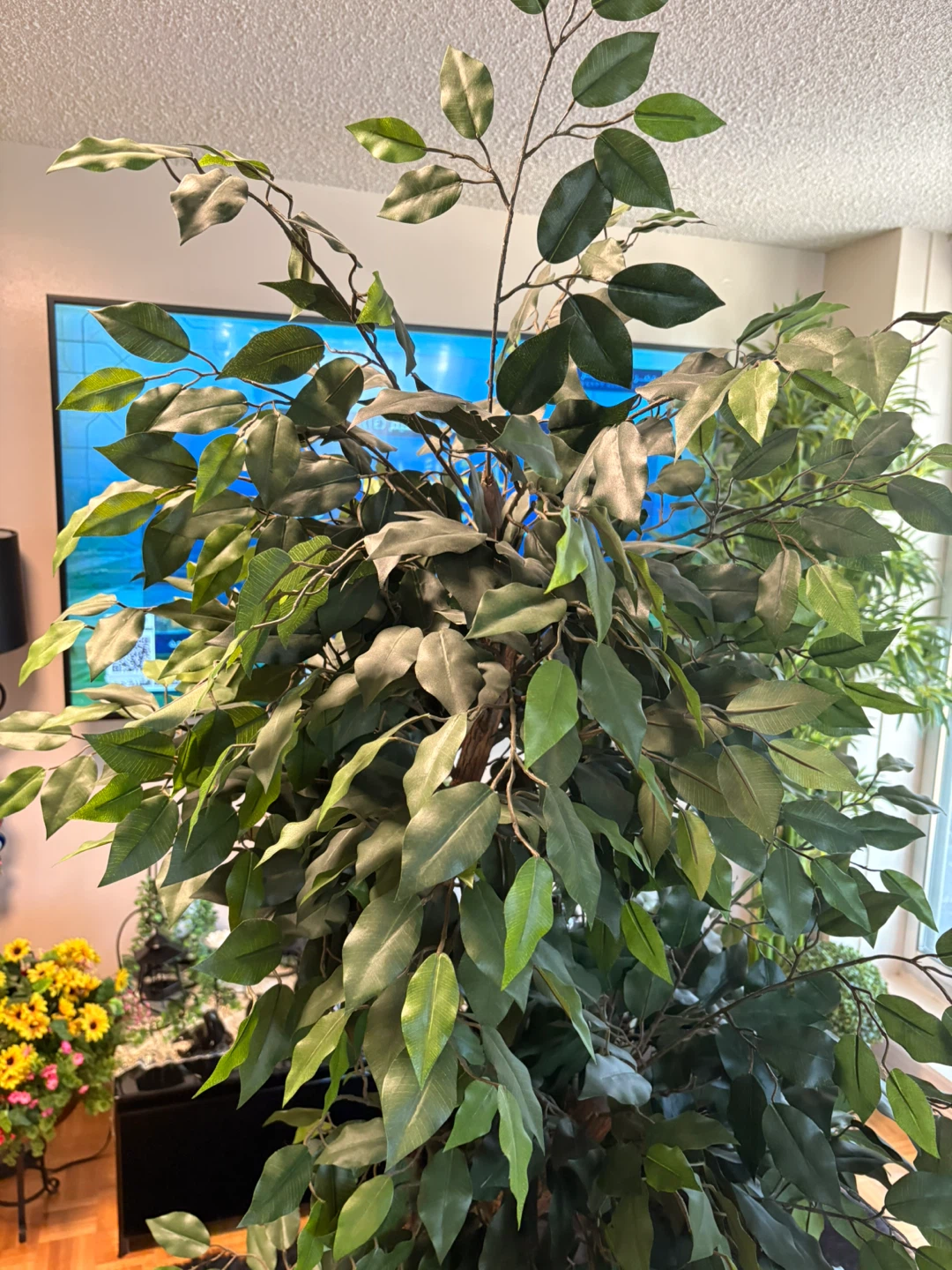 Artificial Ficus Tree in Decorative Planter - photo 4