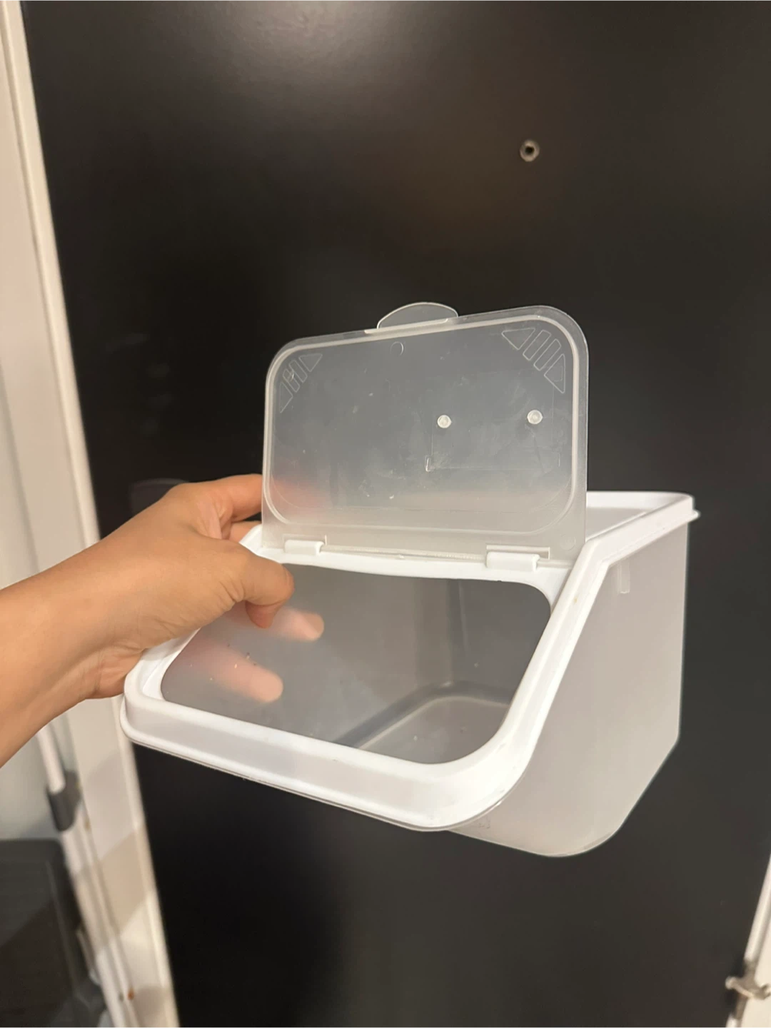 Storage Bins/Boxes