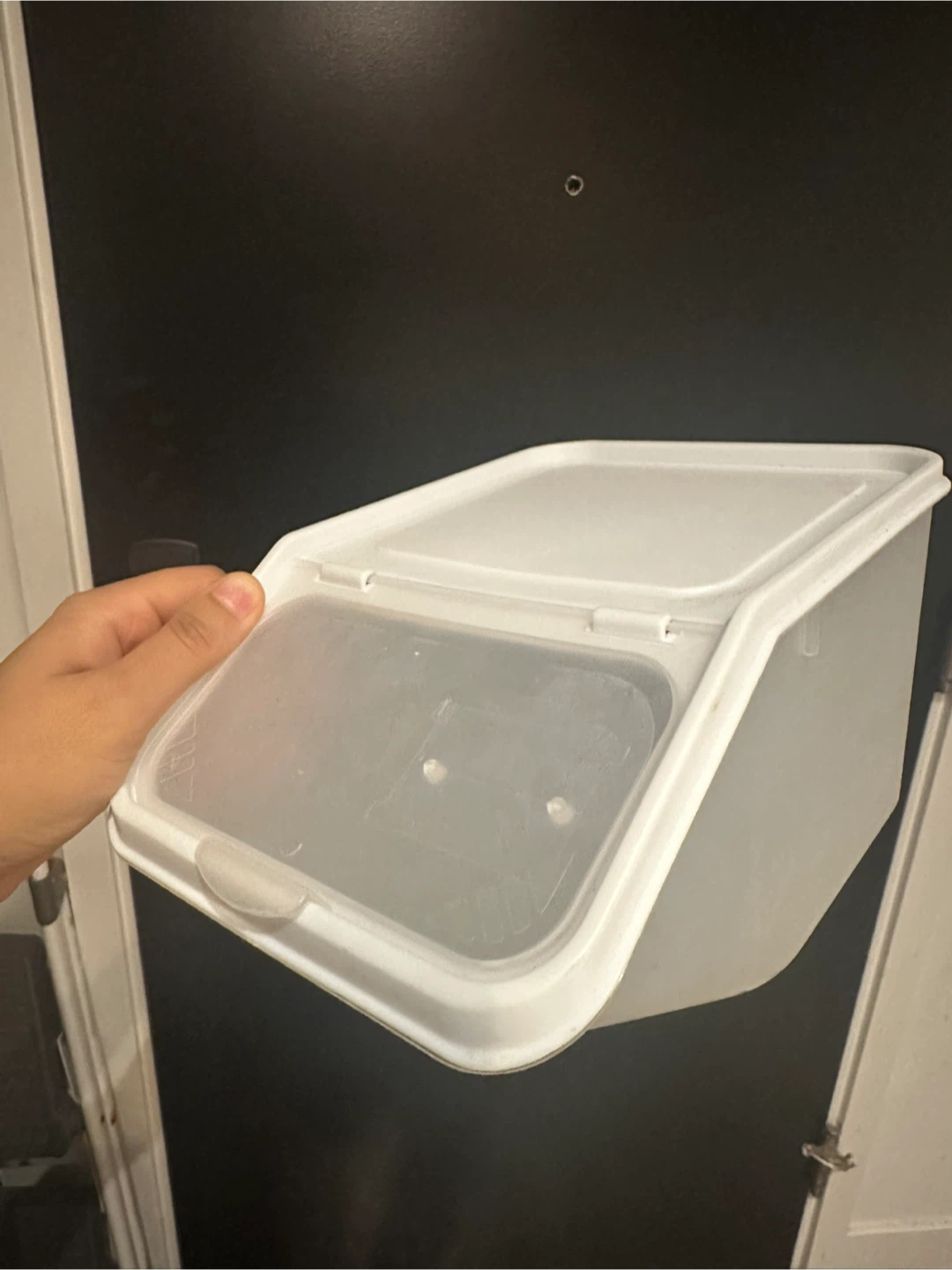 Storage Bins/Boxes - photo 2