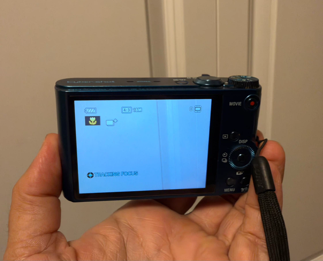 Sony Cyber-shot DSC-WX300 18.2MP WiFi Digital Camera - photo 4