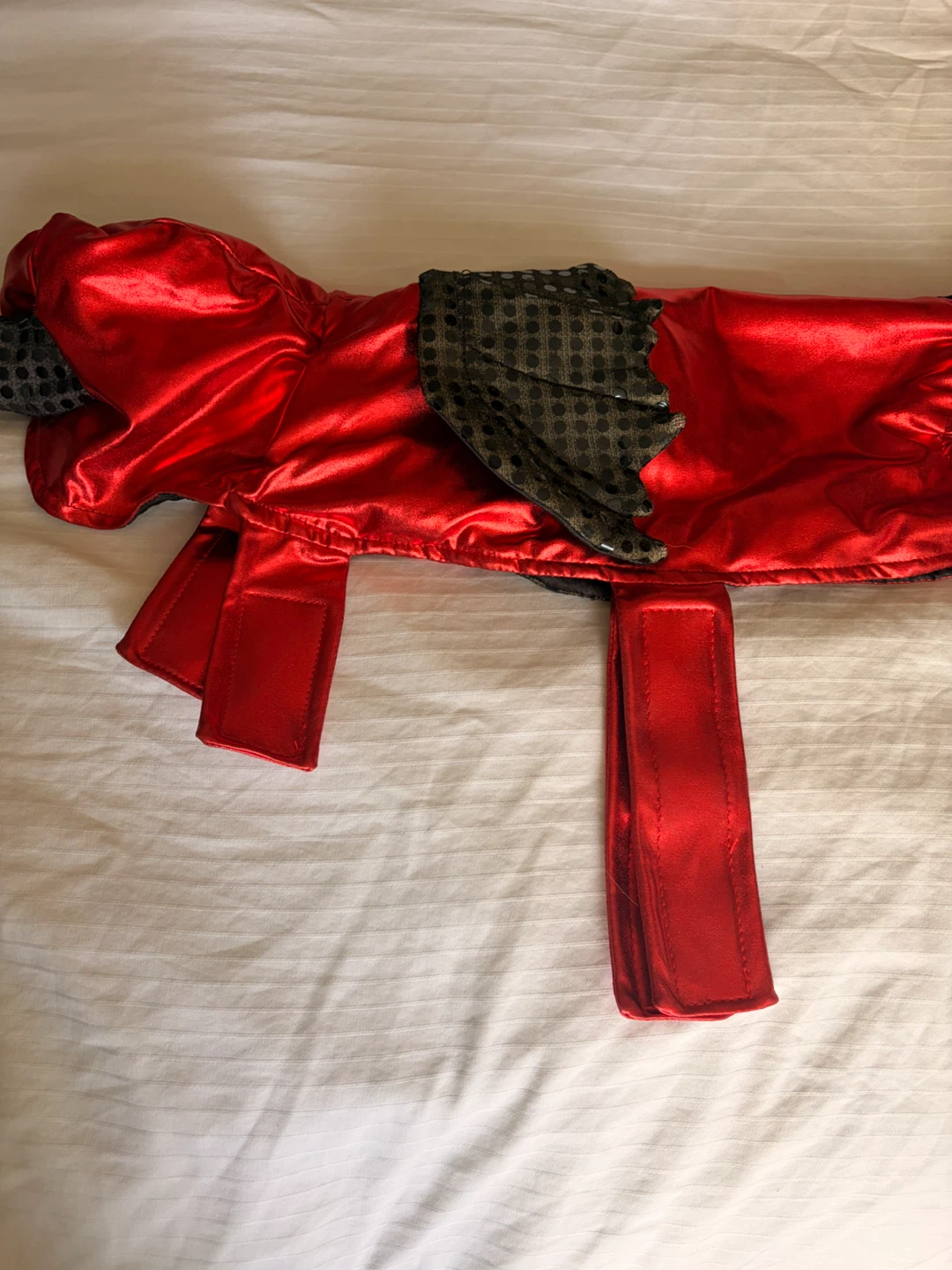 Dog Devil Halloween Costume - photo 2