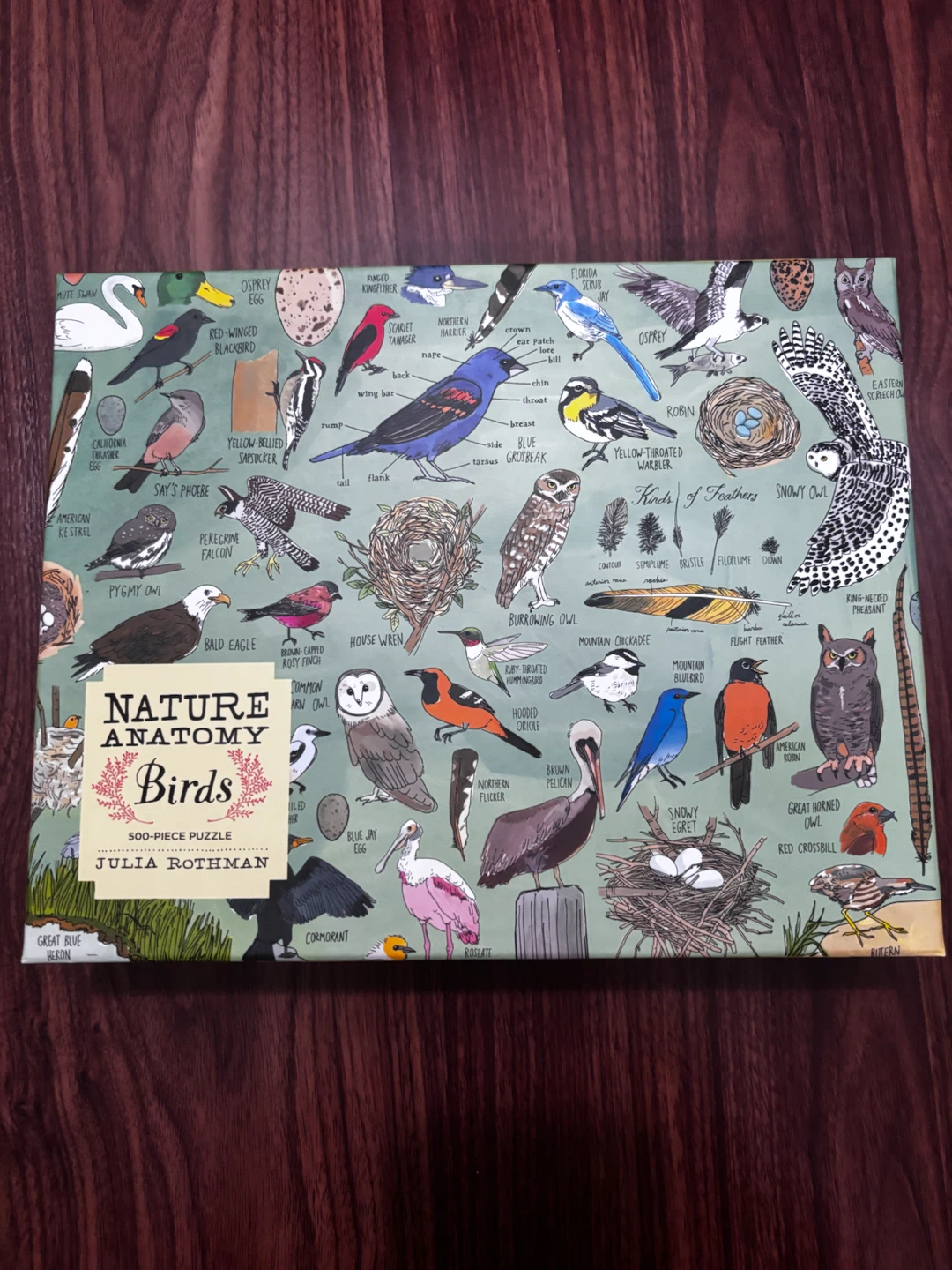 500 piece puzzle