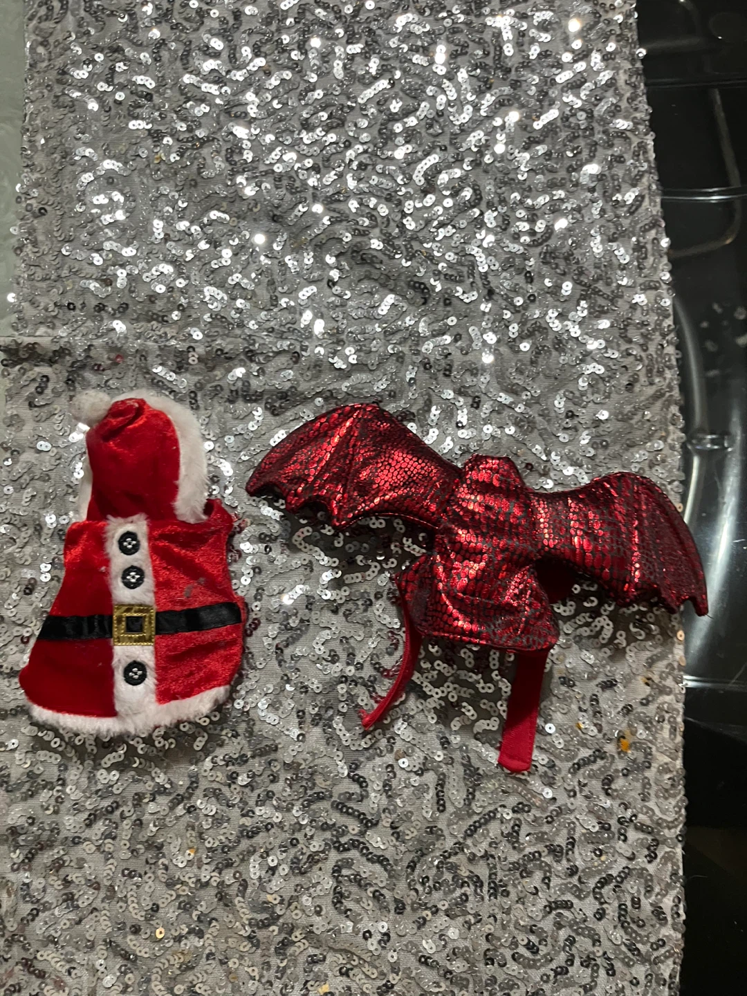 Bearded dragon Costume Set: Santa and dragon