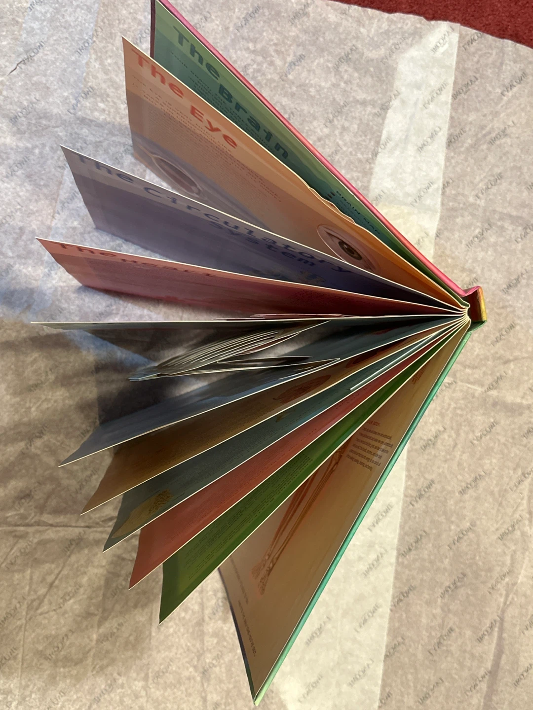 Body: An Interactive and Three-Dimensional Exploration Book - photo 3
