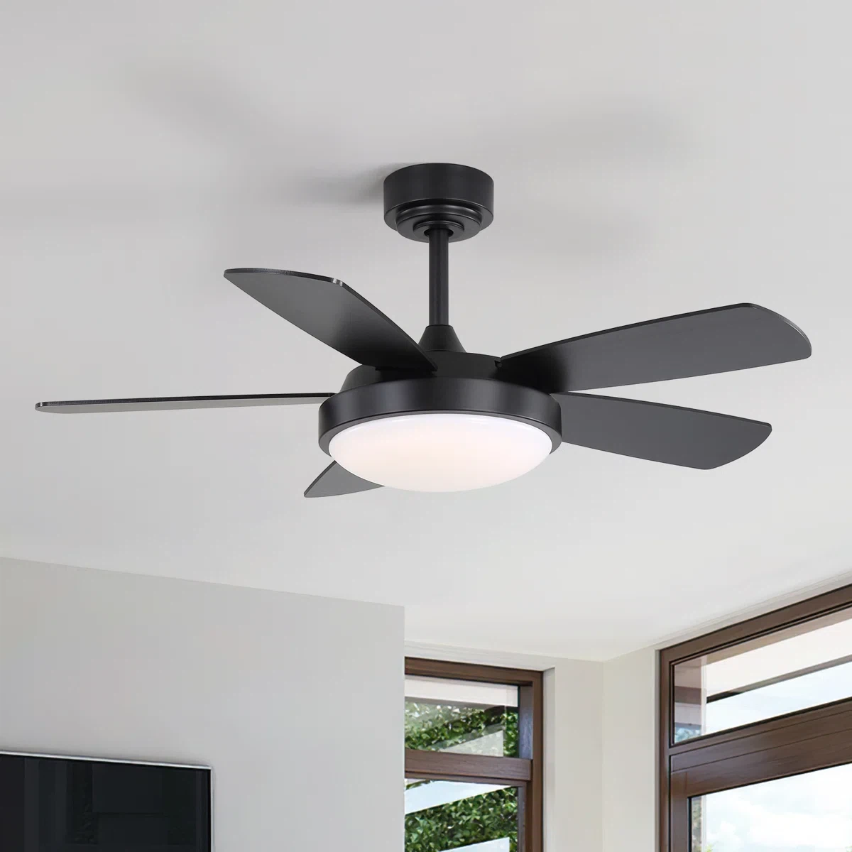 42'' 5 Blade Modern Ceiling Fan With Light and Remote Control