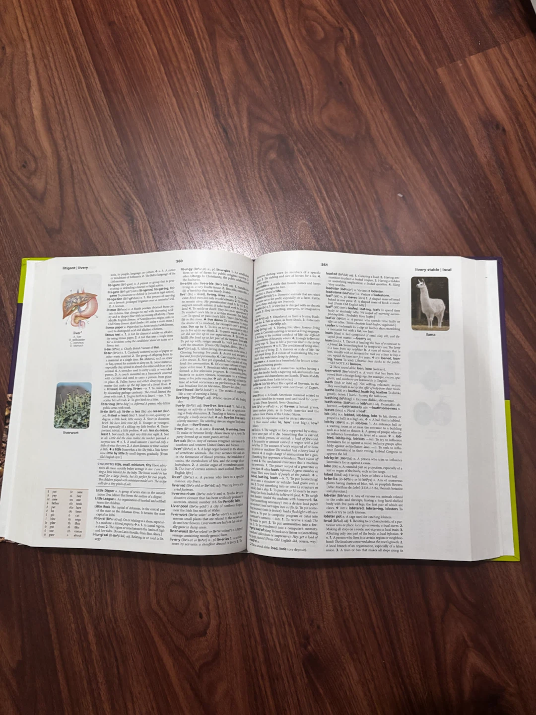 The American Heritage Student Dictionary - photo 2