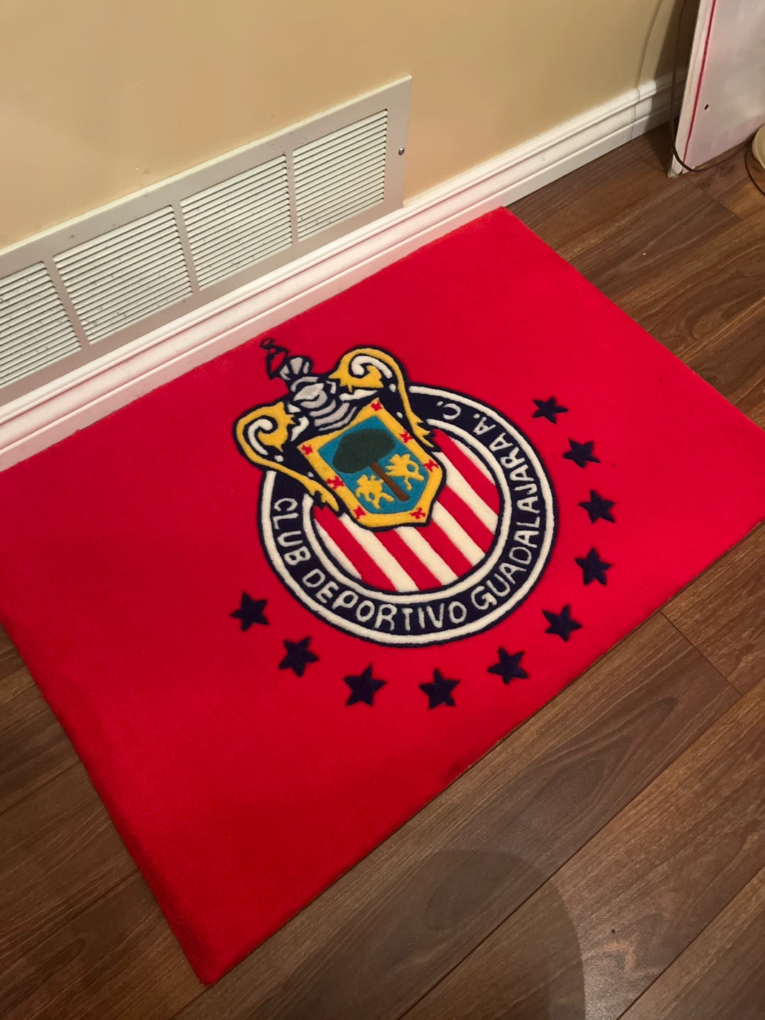 Club Deportivo Guadalajara Chivas Rug