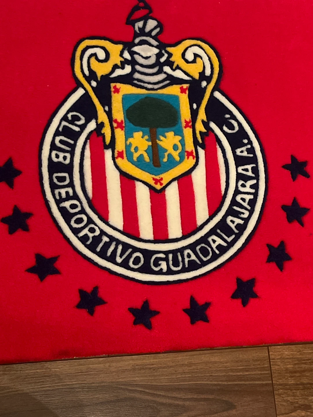 Club Deportivo Guadalajara Chivas Rug - photo 2