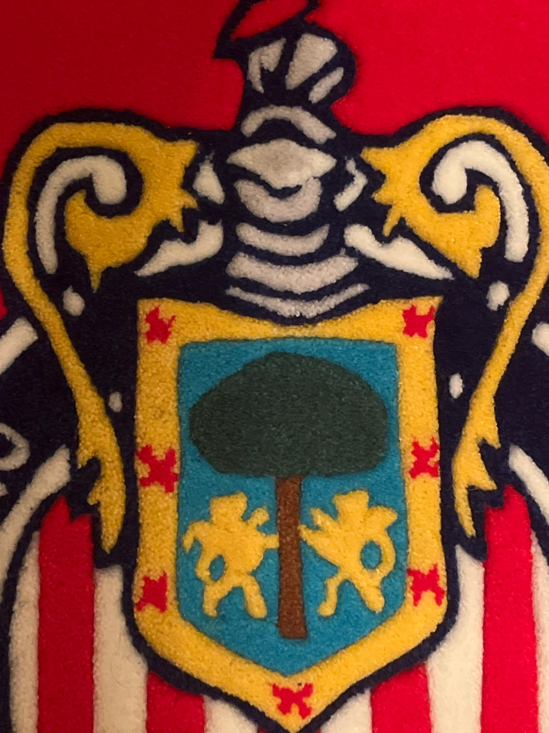 Club Deportivo Guadalajara Chivas Rug - photo 5