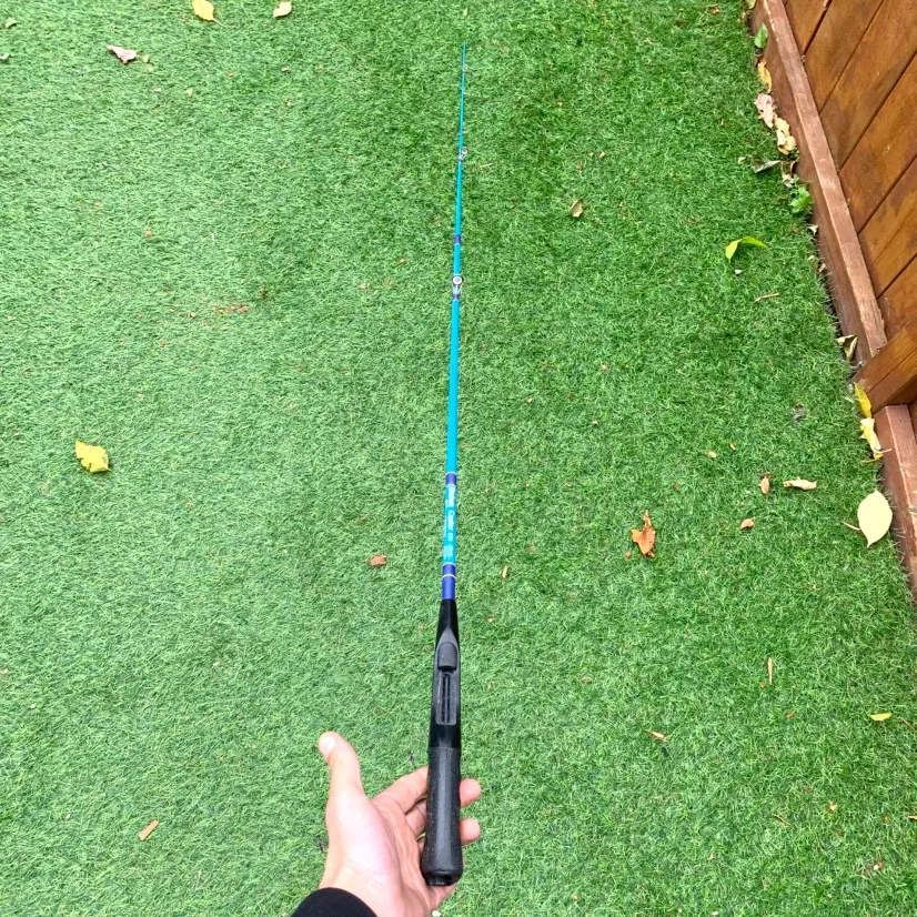 Fishing Rod Daiwa Caster C31 Light Action 65 Inch Pole No Reel