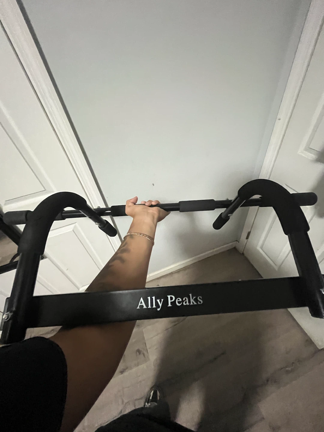 Ally Peaks Doorway Pull Up Bar