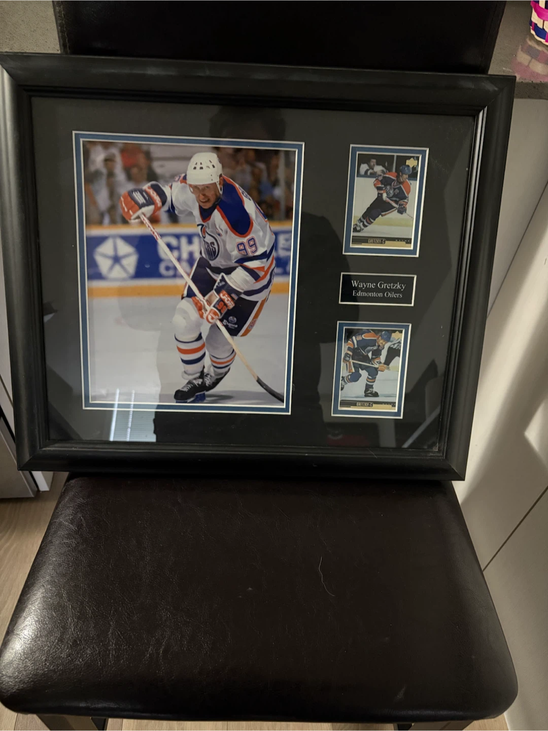 Wayne Gretzky Edmonton Oilers Framed Photo and Card Set