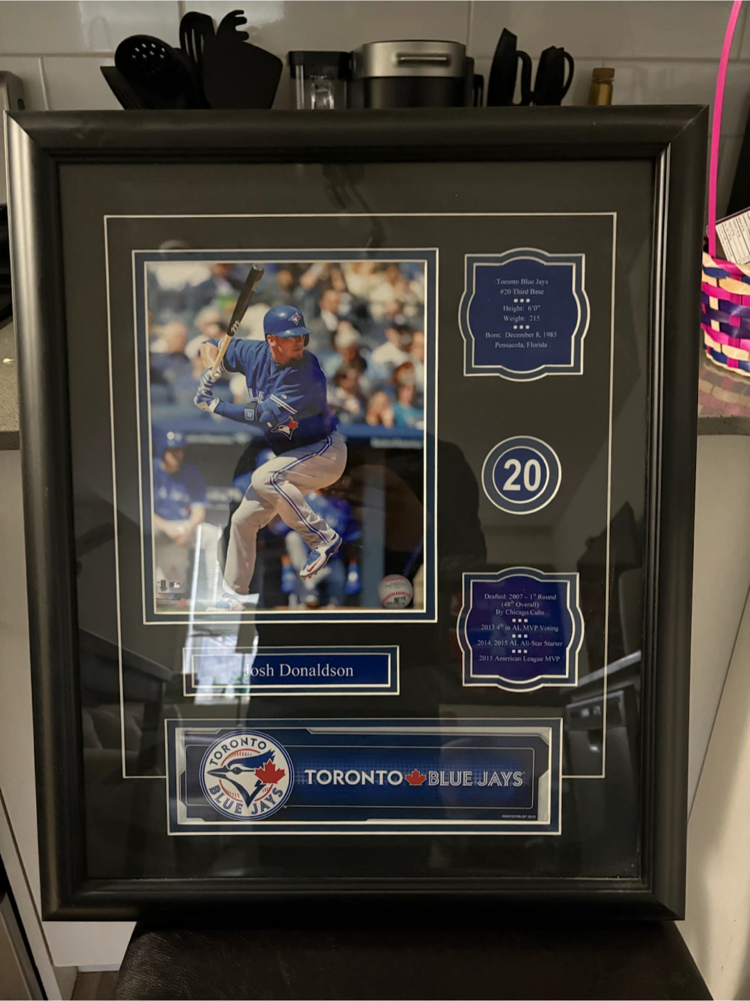 Josh Donaldson Toronto Blue Jays Framed Photo