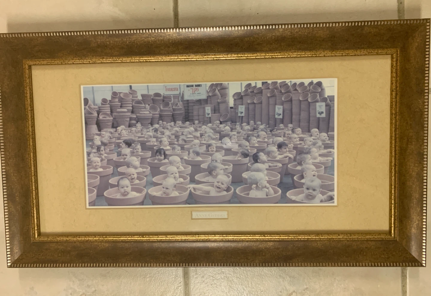 Anne Geddes Cabbage Patch Kids Framed Print