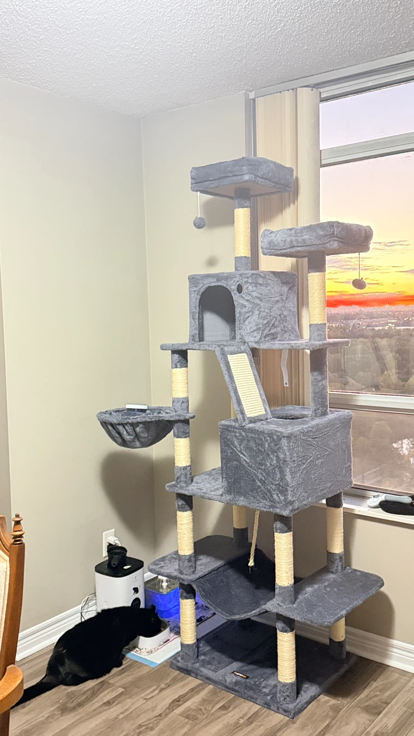 Cat Tree